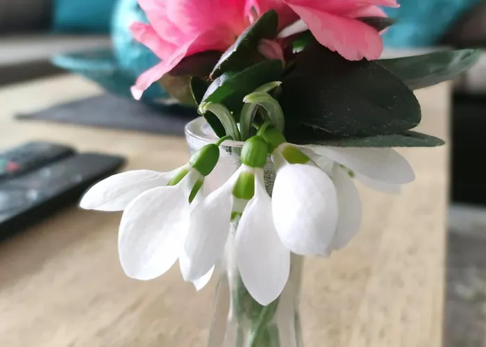 Апартаменты Strandfuerdo Эгер