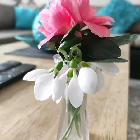 Lejlighed Strandfuerdo Eger